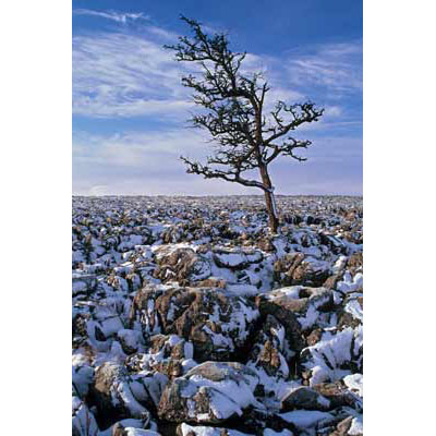 7439_Winter on Conistone